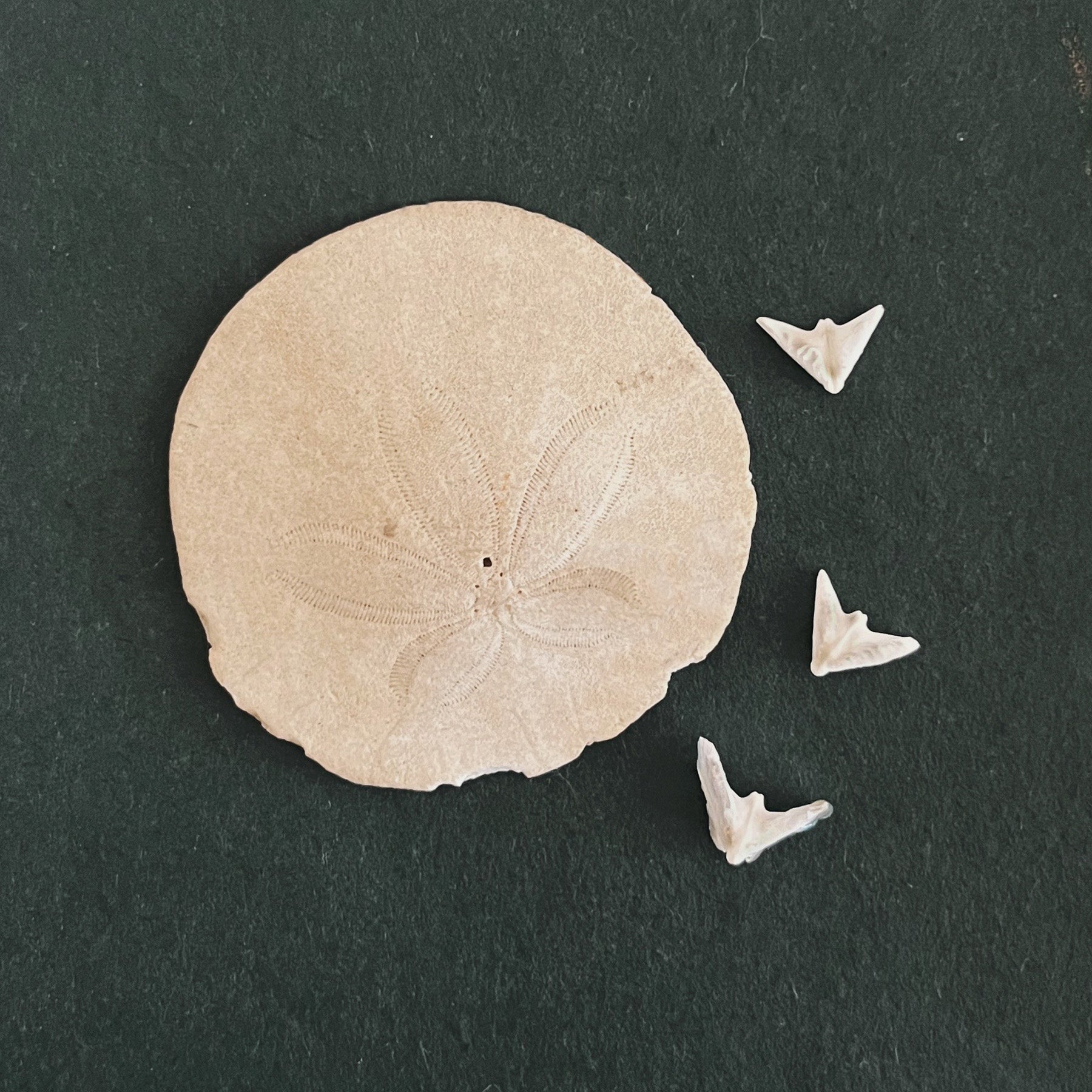 TRIPLE DOVE necklace