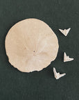 TRIPLE DOVE necklace
